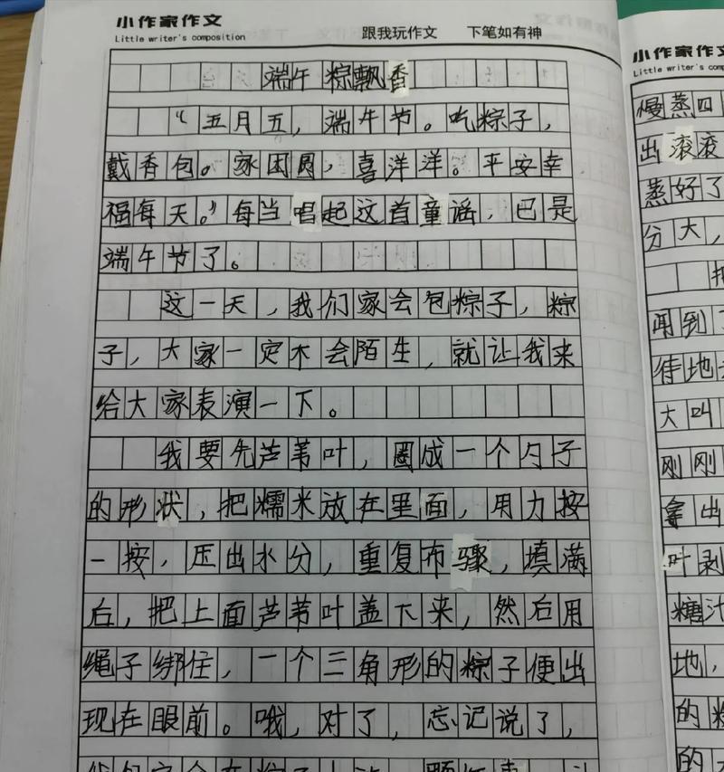 有关端午节作文活动的作文怎么写（《粽子飘香，友谊长存》）