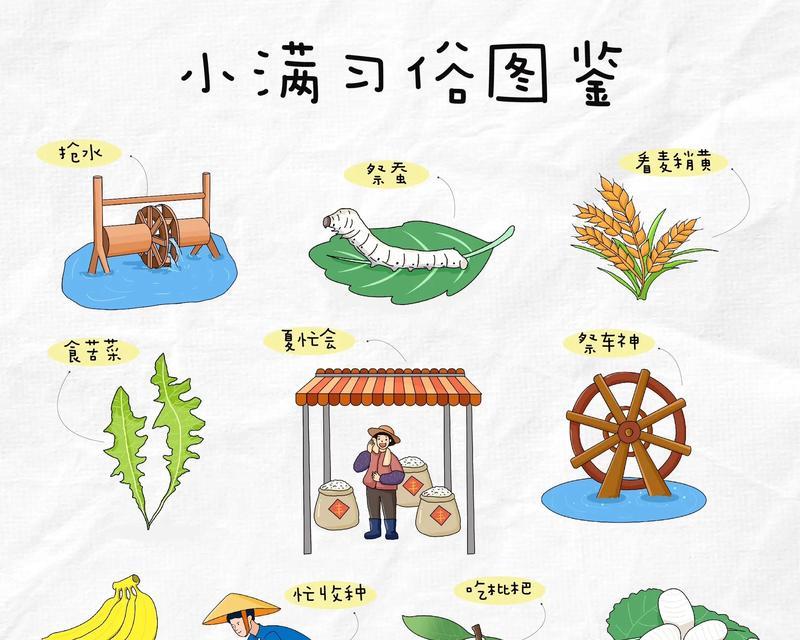 以画一幅小满美景的画作文为话题的作文怎么写（《小满时节，我们共同绘制的那幅画》）