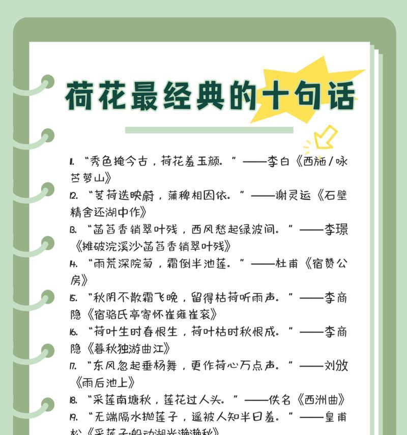 描写夏至与荷花的诗句（《夏至荷韵：绿叶扶疏，清风徐来》）