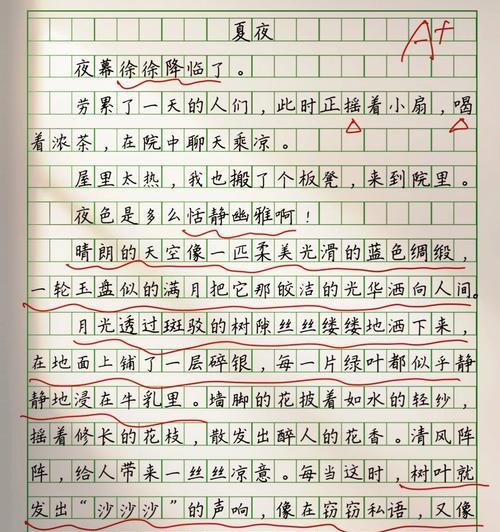 关于夏至写景的作文怎么写？（《夏至光影下的青春誓言》）