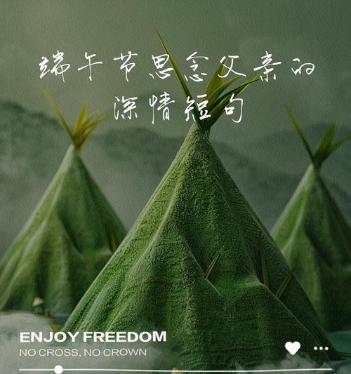 端午节如何表达对爸爸的思念？（《粽香怀父：端午细语》）
