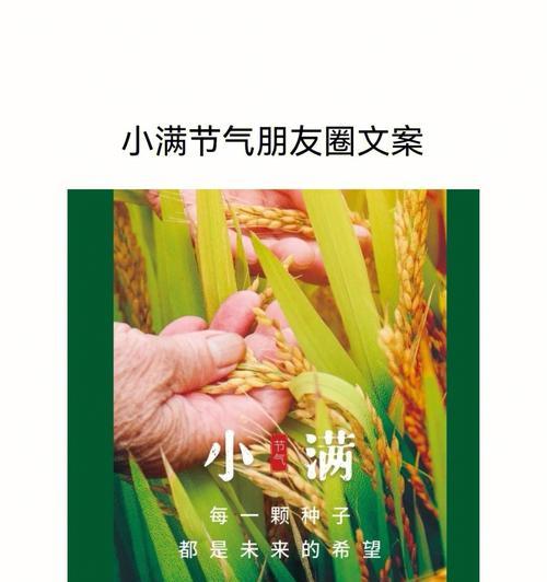 和小满一样的寓意词语（梦里花开花落，小满时光正浓）