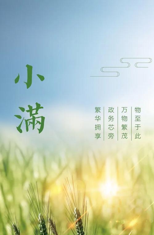 关于小满的文案开头怎么写（《古韵雅居：小满之吟》）