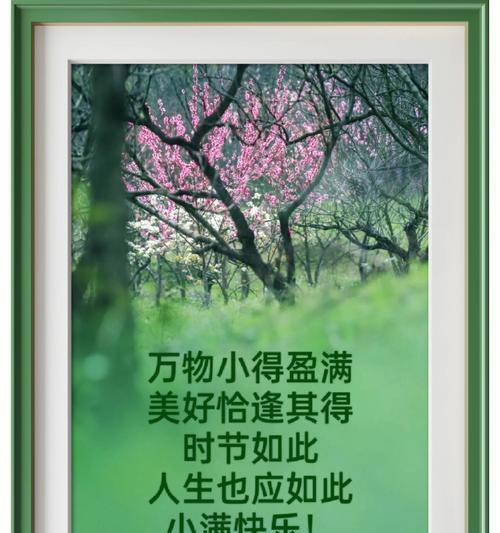小满时节的优美句子有哪些？（《小满之赋：翠意盈盈，古韵流长》）