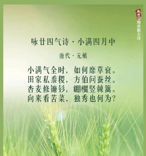 小满时节麦穗描写优美句子有哪些？（《麦穗轻摇满眼金，小满时节话丰年》）