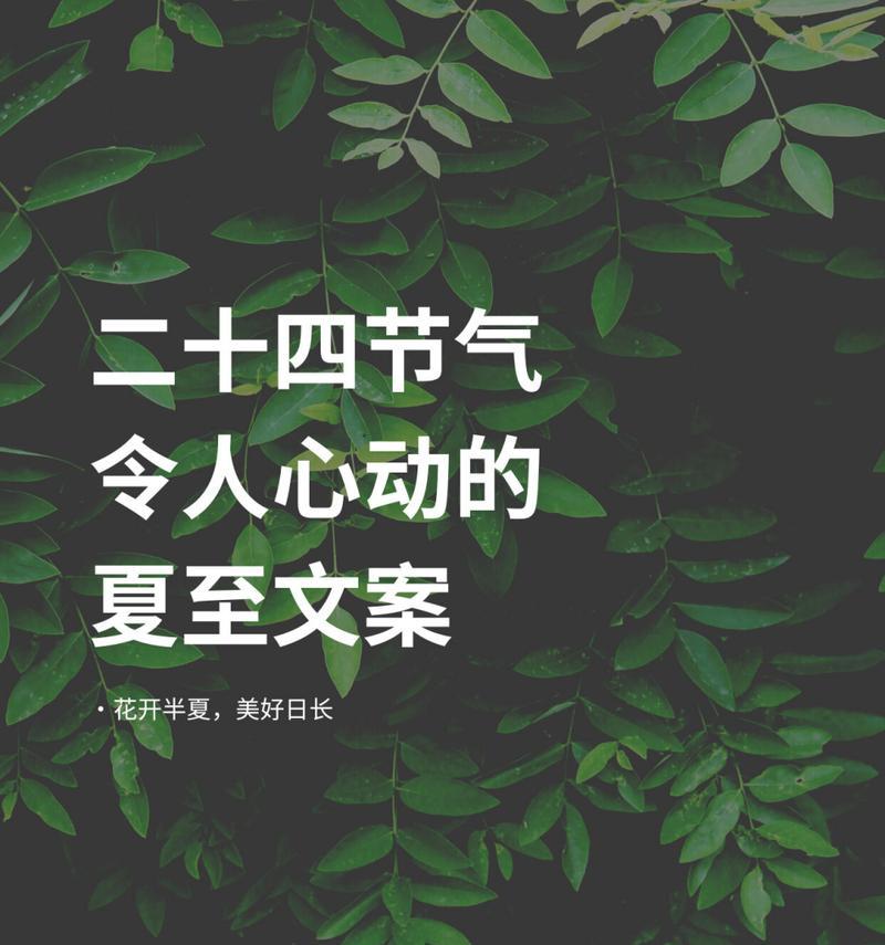 夏至跳个舞的文案句子好句有哪些？（《夏至雅舞：古韵今风，舞动盛夏》）