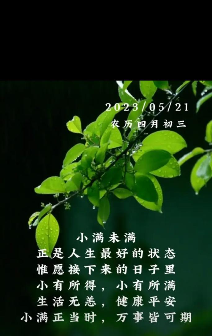 关于小满的句子有哪些？（《小满时节，唯美如初》）
