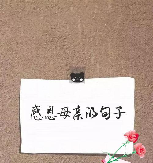 母亲节感恩语录禅语好句有哪些？（《慈母心灯，感恩情深——母亲节禅意述怀》）