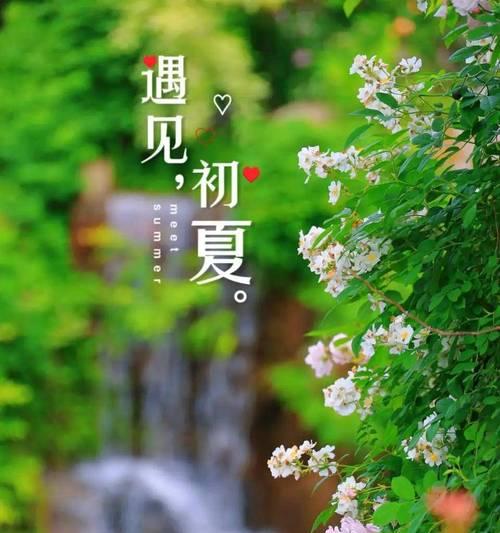 夏至安康是什么意思（《夏至安康赋》）