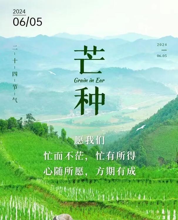 芒种节气语句（《芒种时节：心田勤耕耘，收获满仓金》）