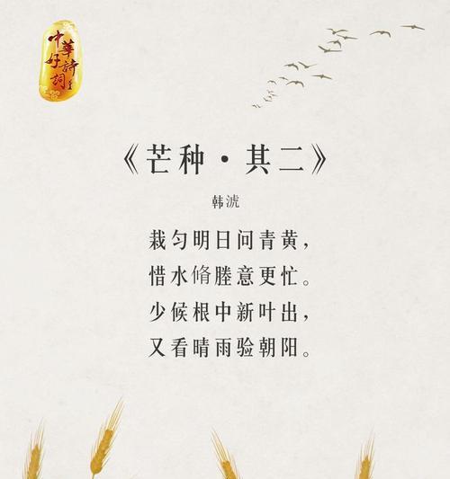 芒种节气语句（《芒种时节：心田勤耕耘，收获满仓金》）